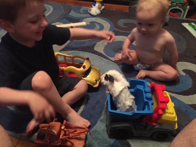 2015-06-09 19.09.46.jpg