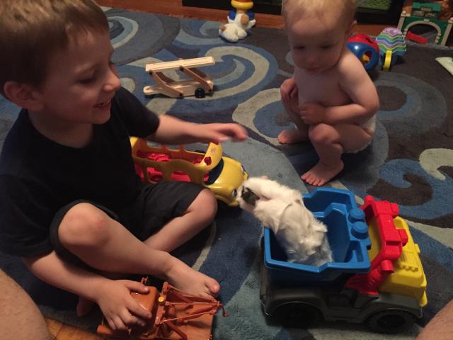 2015-06-09 19.09.44.jpg