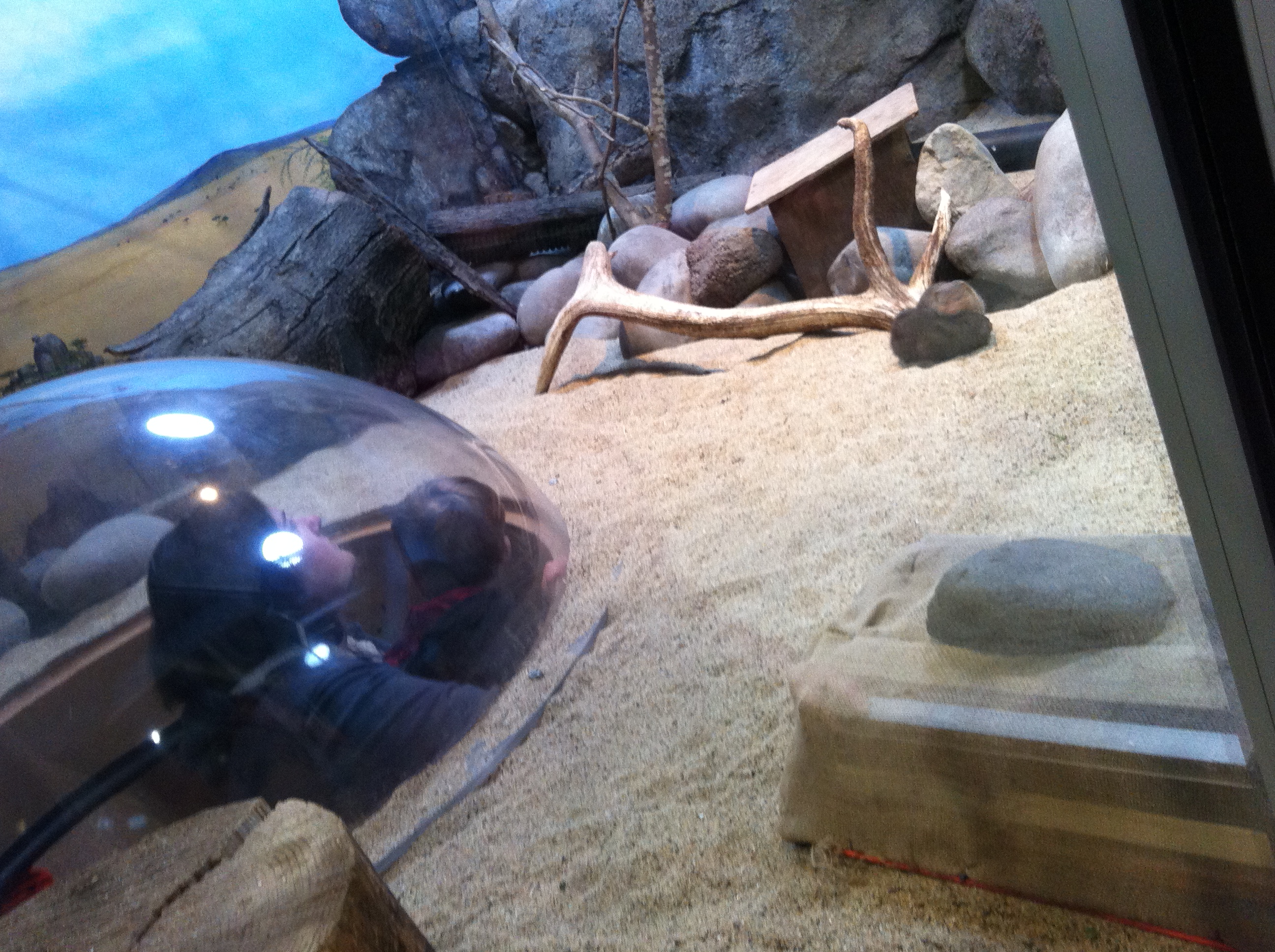 2013-05-20 10.18.45.jpg