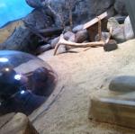 2013-05-20 10.18.45.jpg