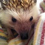 2011-05-22 21.35.59.jpg