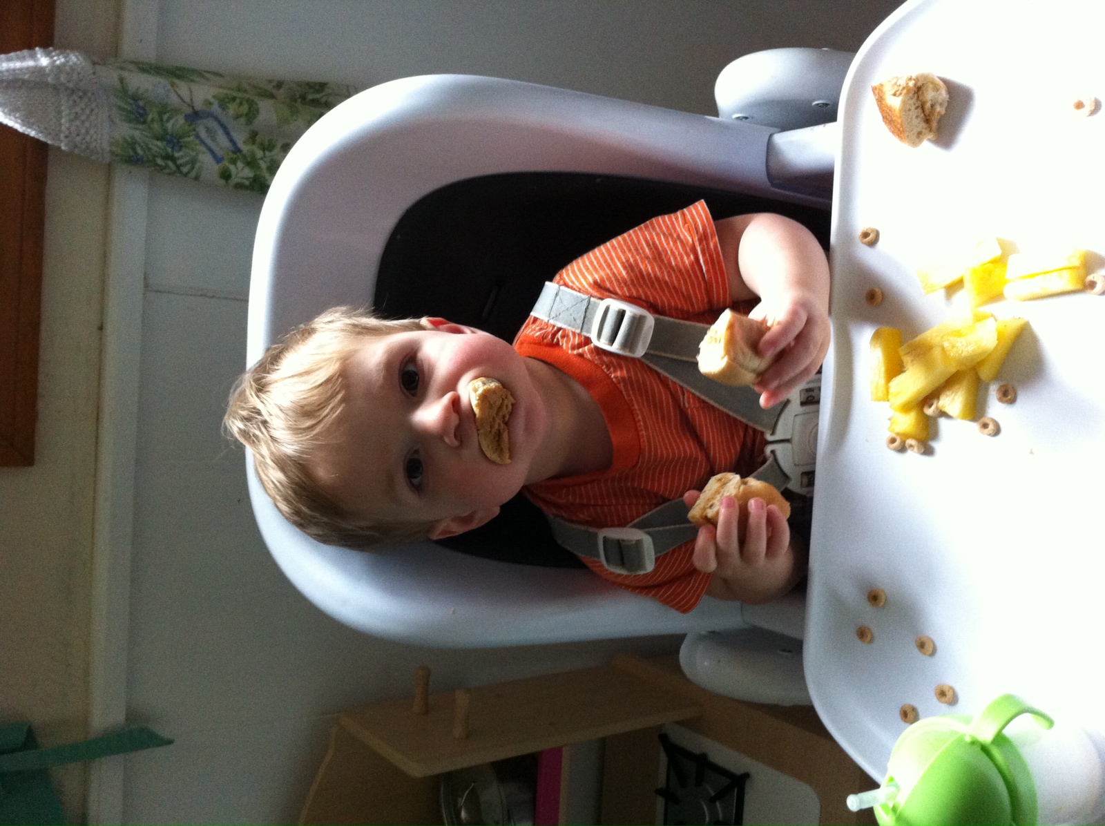 2013-02-20 12.44.19.jpg