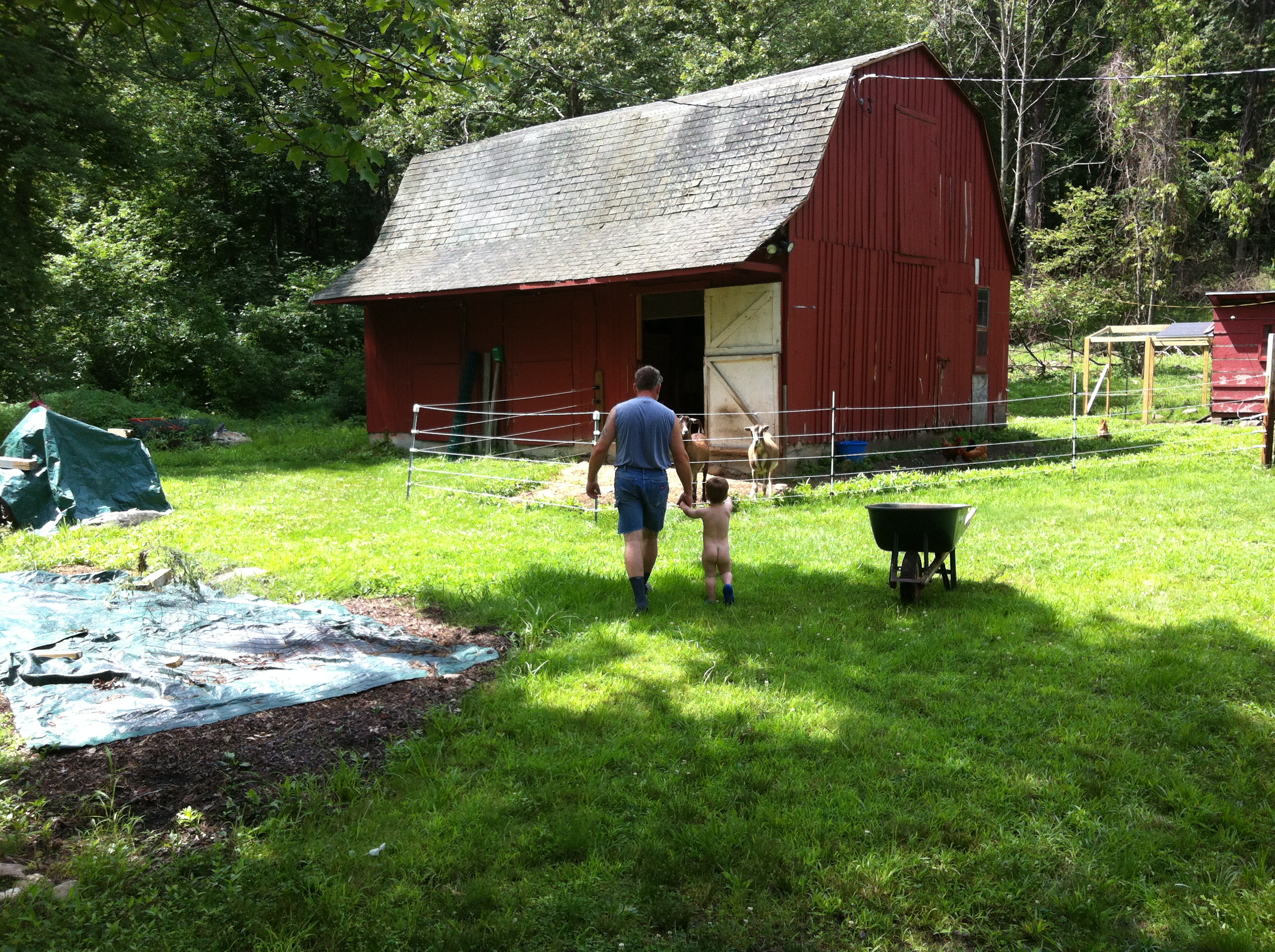 2013-07-27 11.30.45.jpg