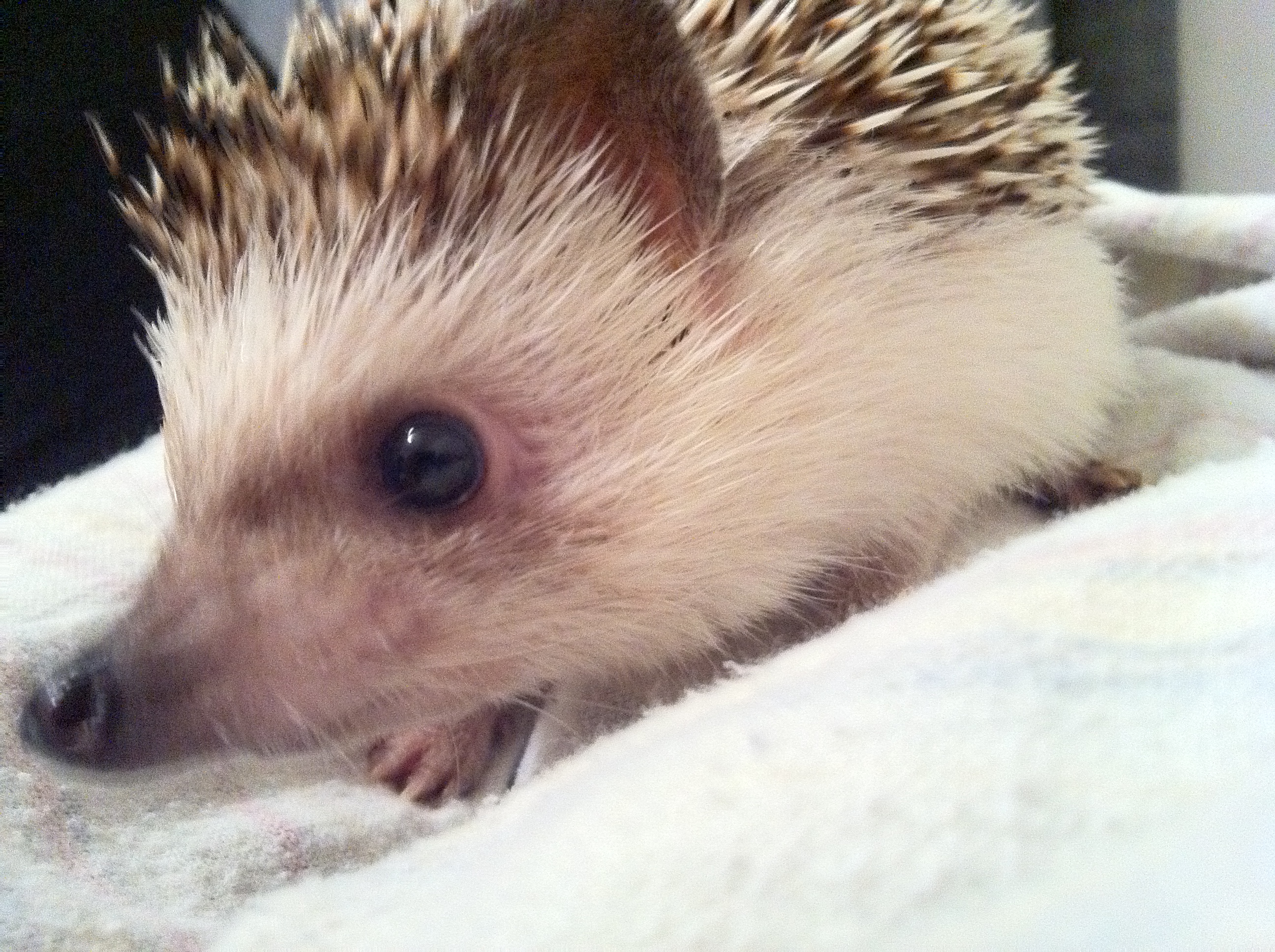 2010-11-04 21.26.34-1.jpg