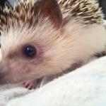 2010-11-04 21.26.34-1.jpg