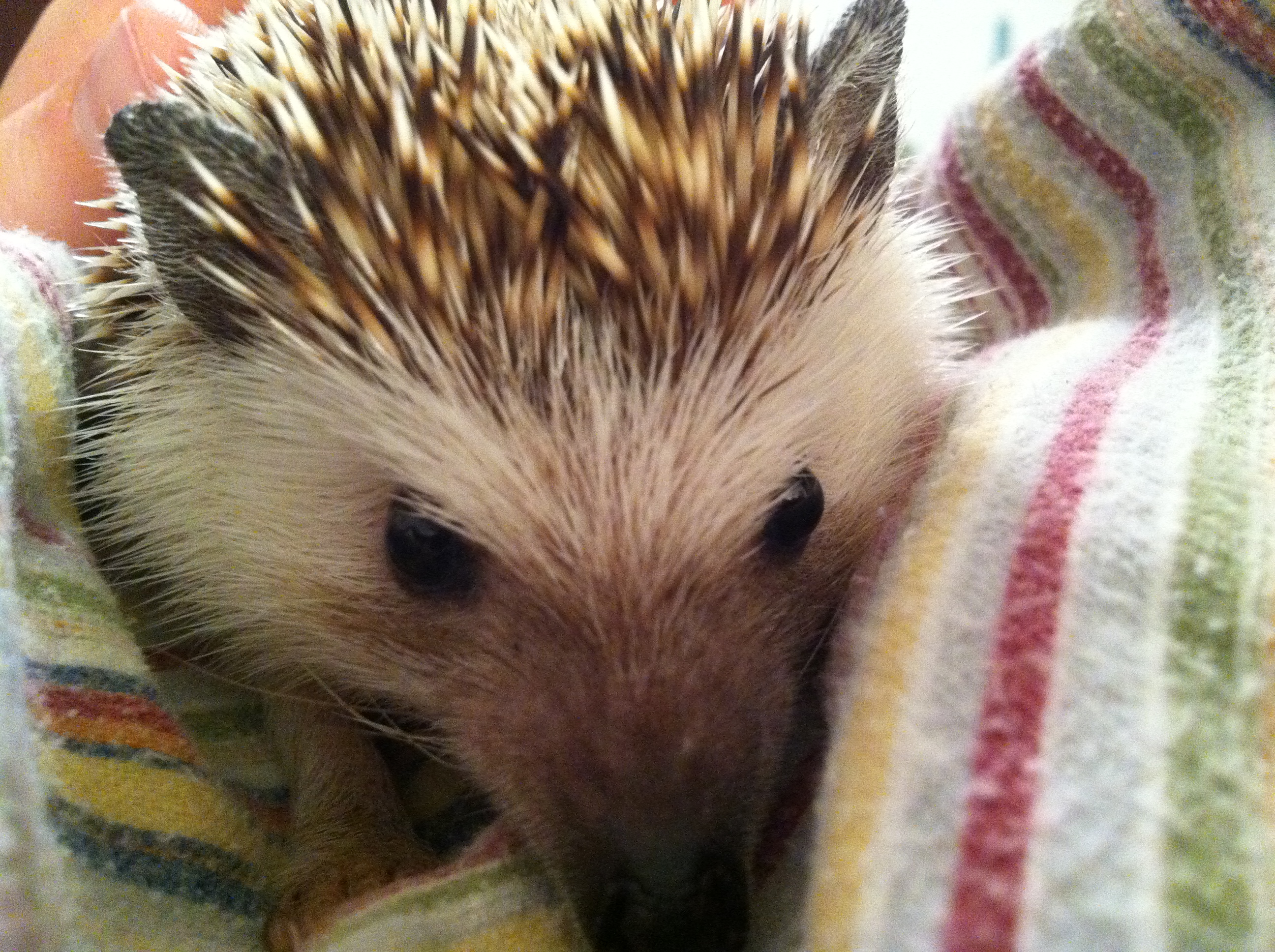 2011-05-22 21.36.06.jpg