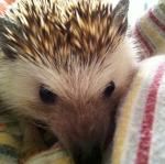 2011-05-22 21.36.06.jpg