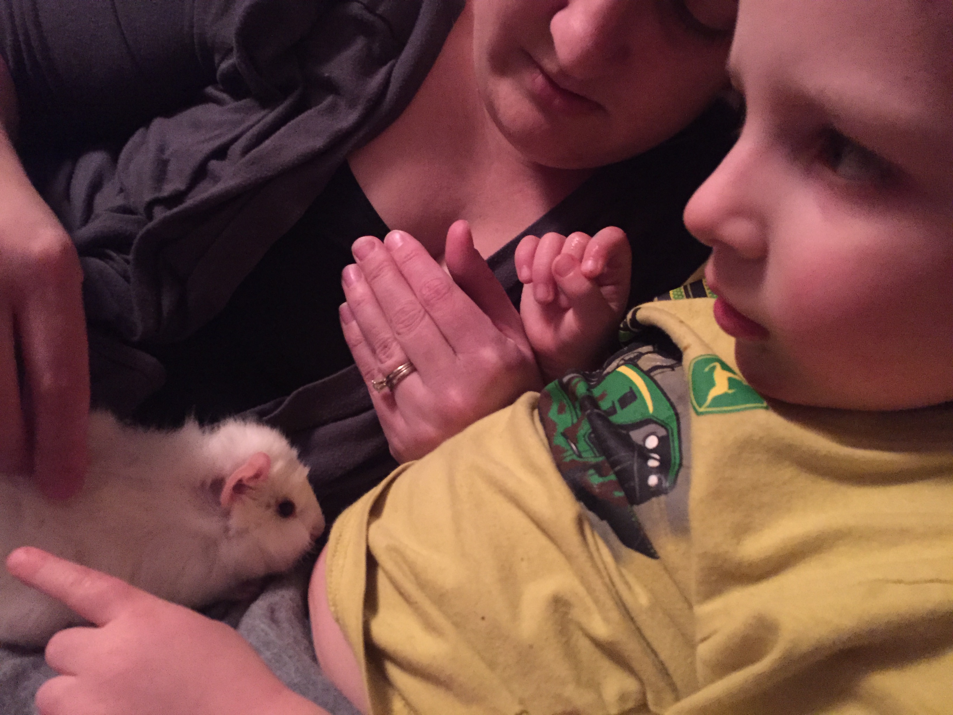 2015-03-08 19.31.57.jpg