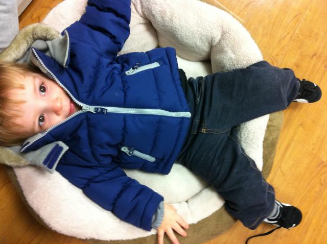 2013-03-05 10.37.13.jpg