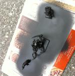 2013-11-17 12.44.19.jpg