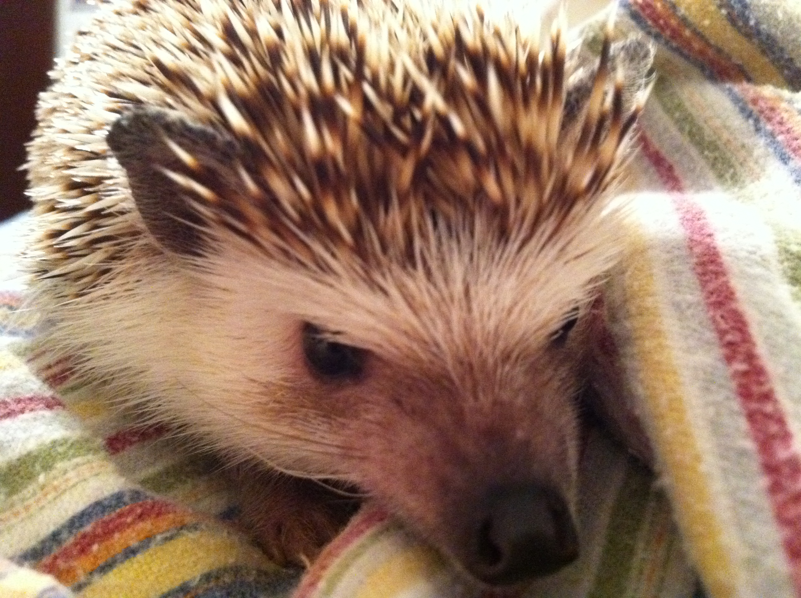 2011-05-22 21.37.29.jpg