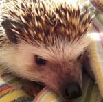 2011-05-22 21.37.29.jpg