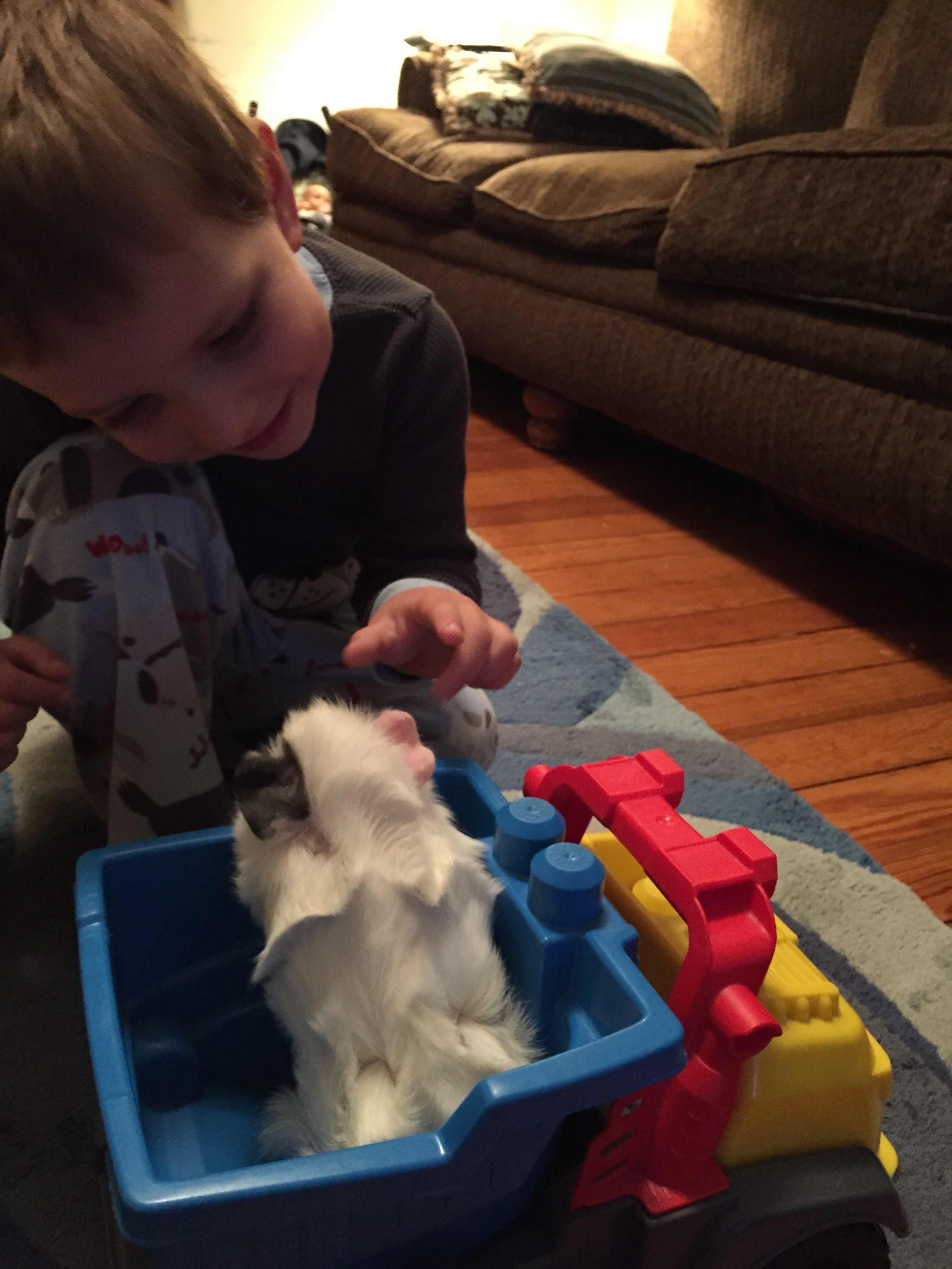 2015-06-02 19.59.33.jpg