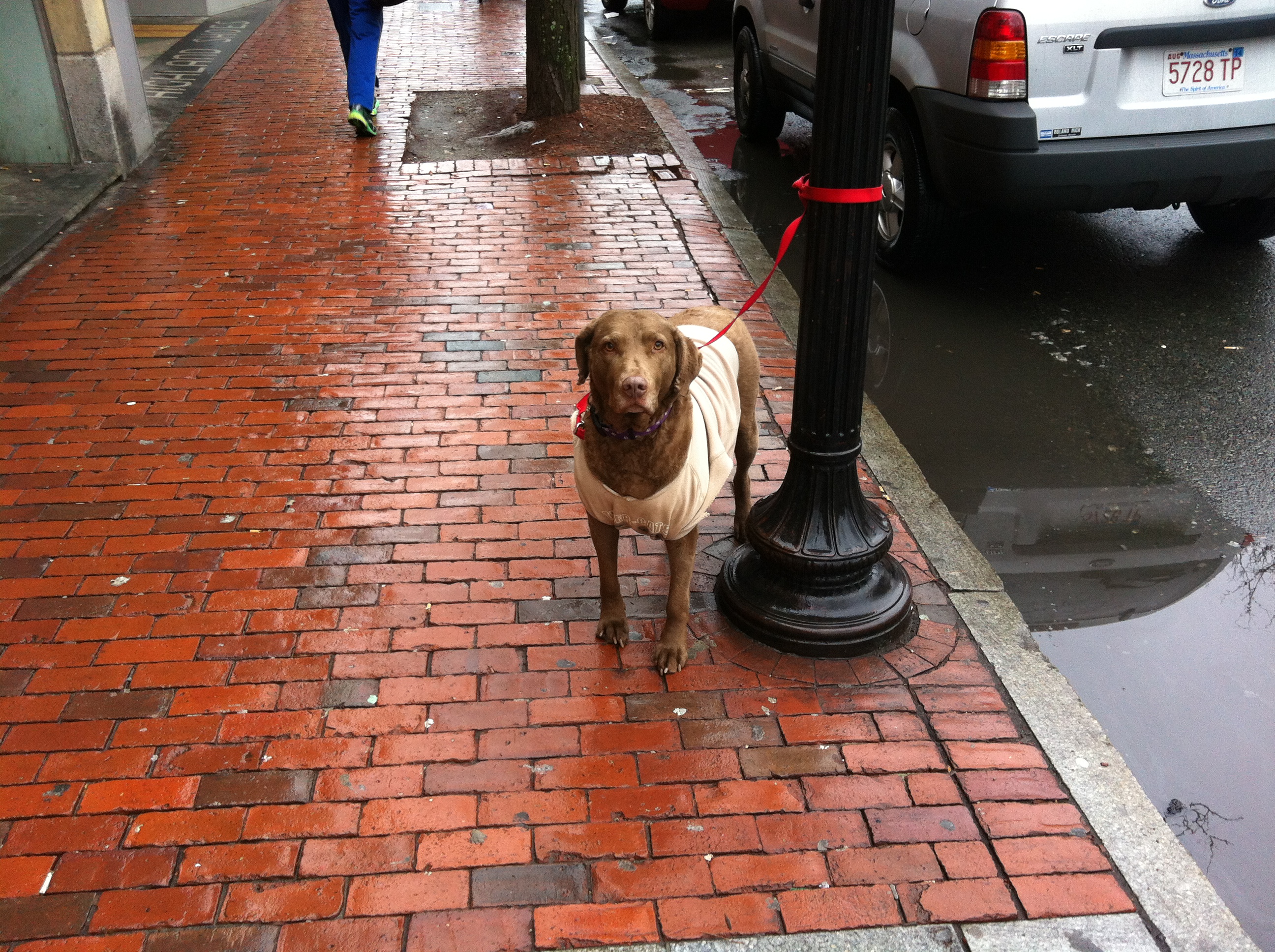 2014-01-11 09.17.30.jpg