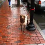 2014-01-11 09.17.30.jpg