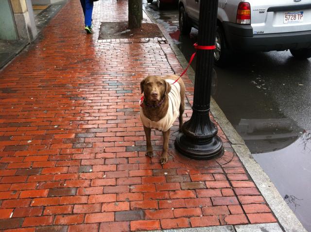 2014-01-11 09.17.30.jpg