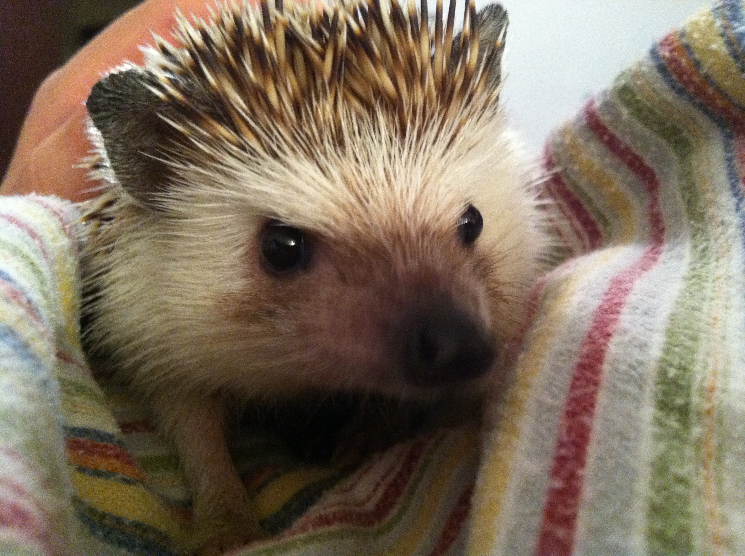 2011-05-22 21.35.53.jpg