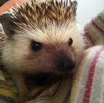 2011-05-22 21.35.53.jpg