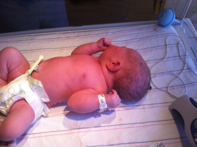 2014-01-24 11.29.08.jpg