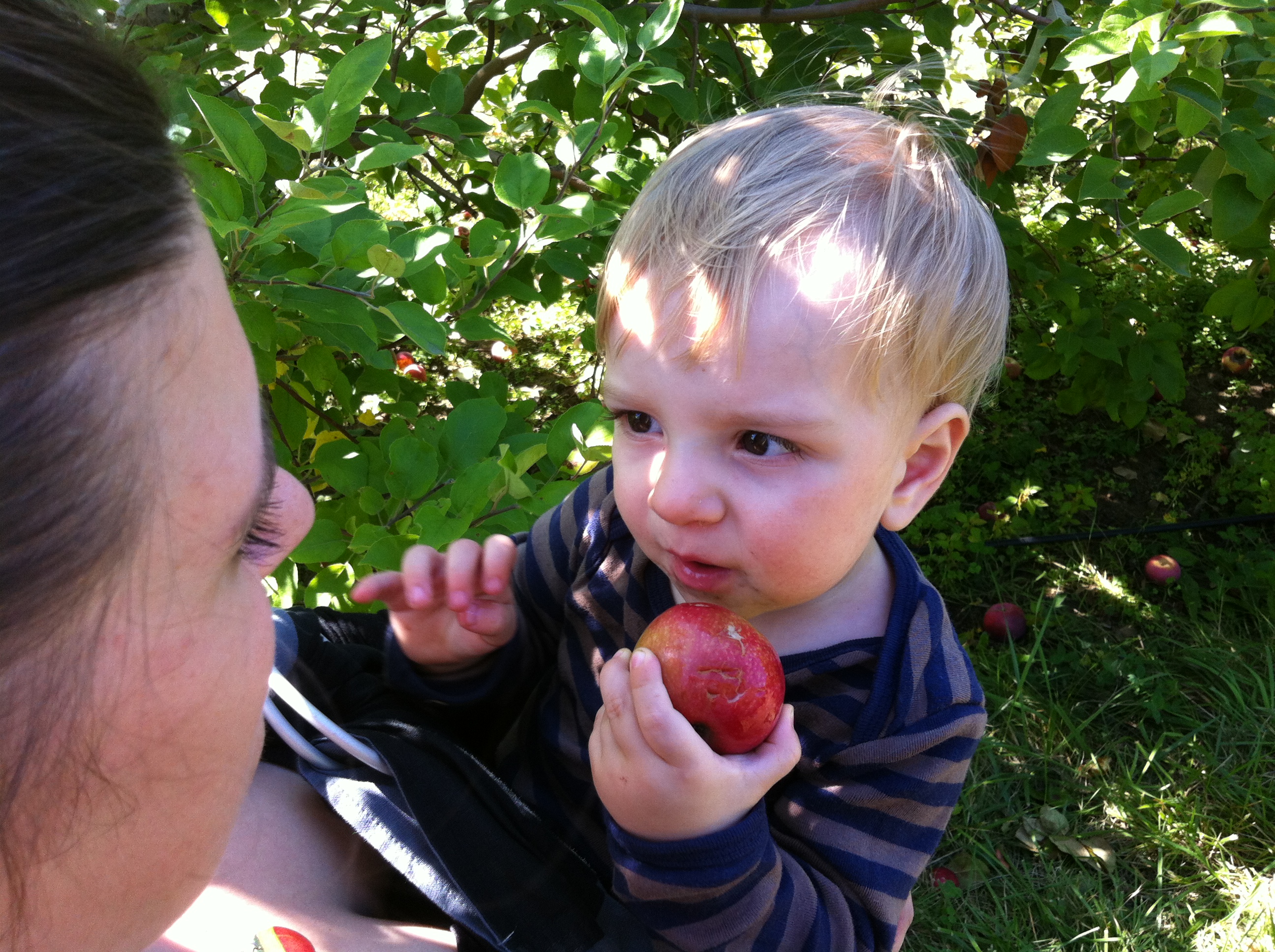 2012-09-22 14.06.36.jpg