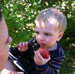 2012-09-22 14.06.36.jpg