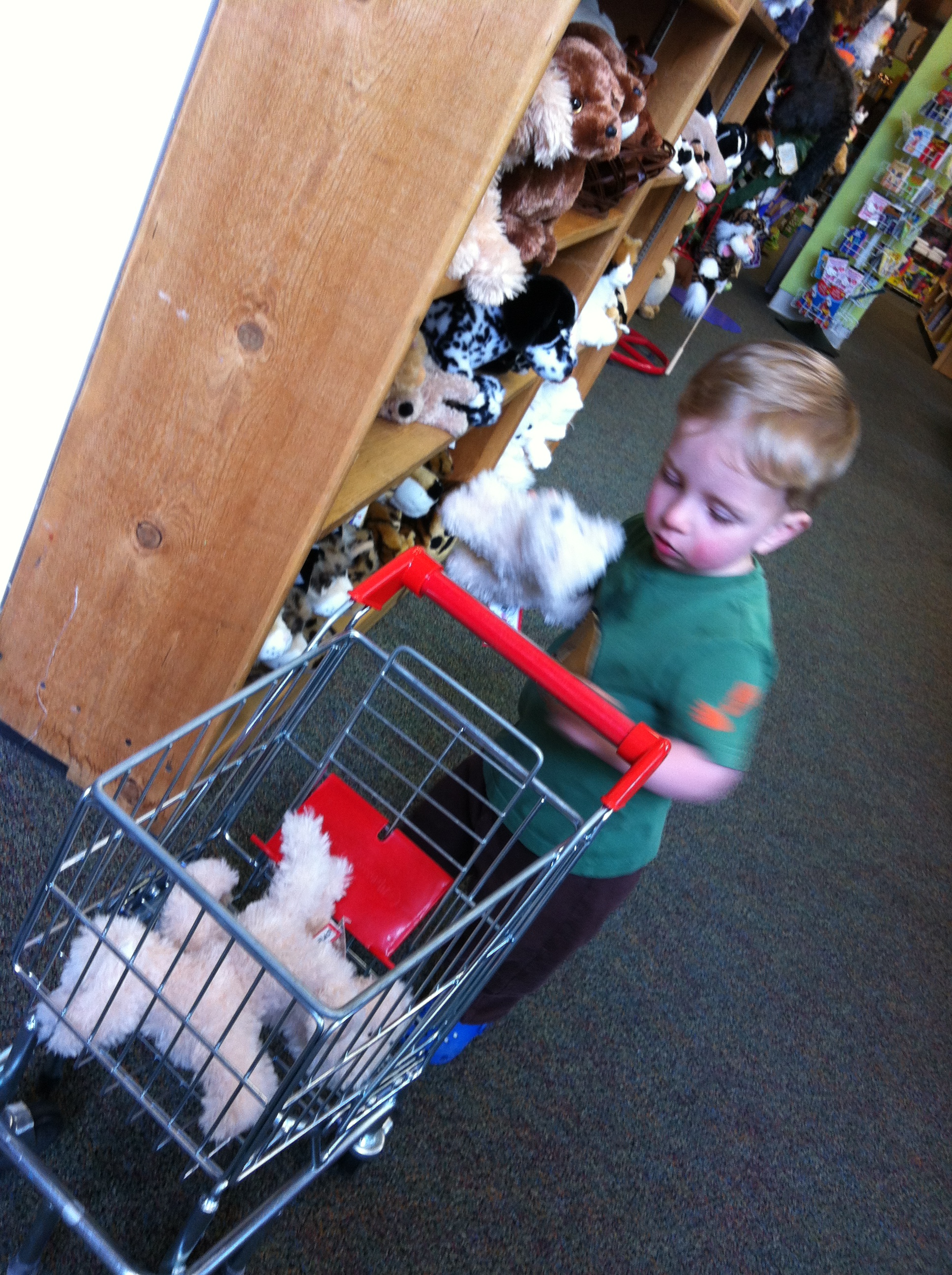 2013-05-19 12.50.31.jpg