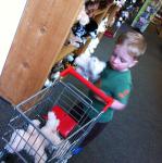 2013-05-19 12.50.31.jpg