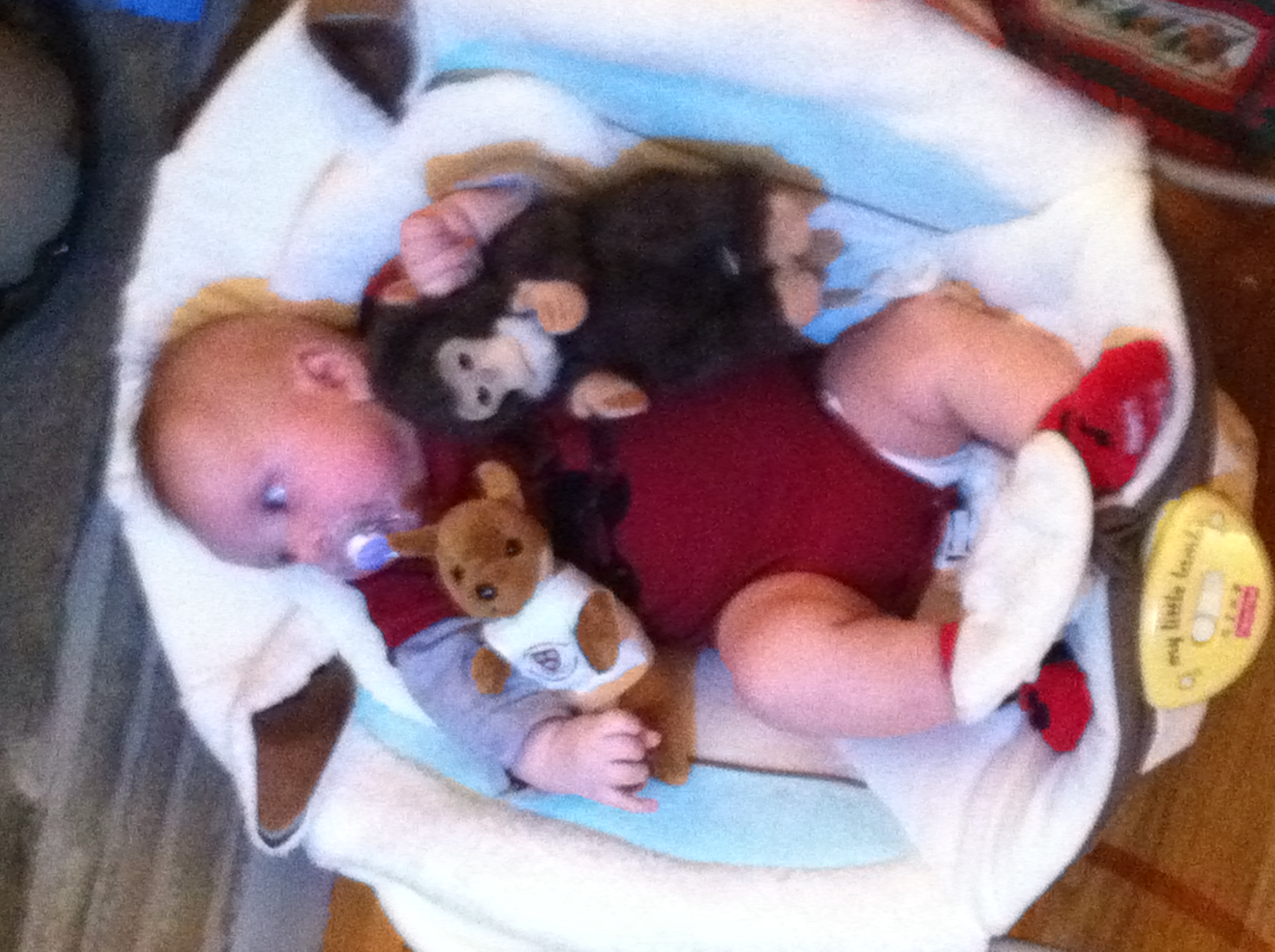 2011-12-24 16.54.07.jpg