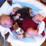 2011-12-24 16.54.07.jpg