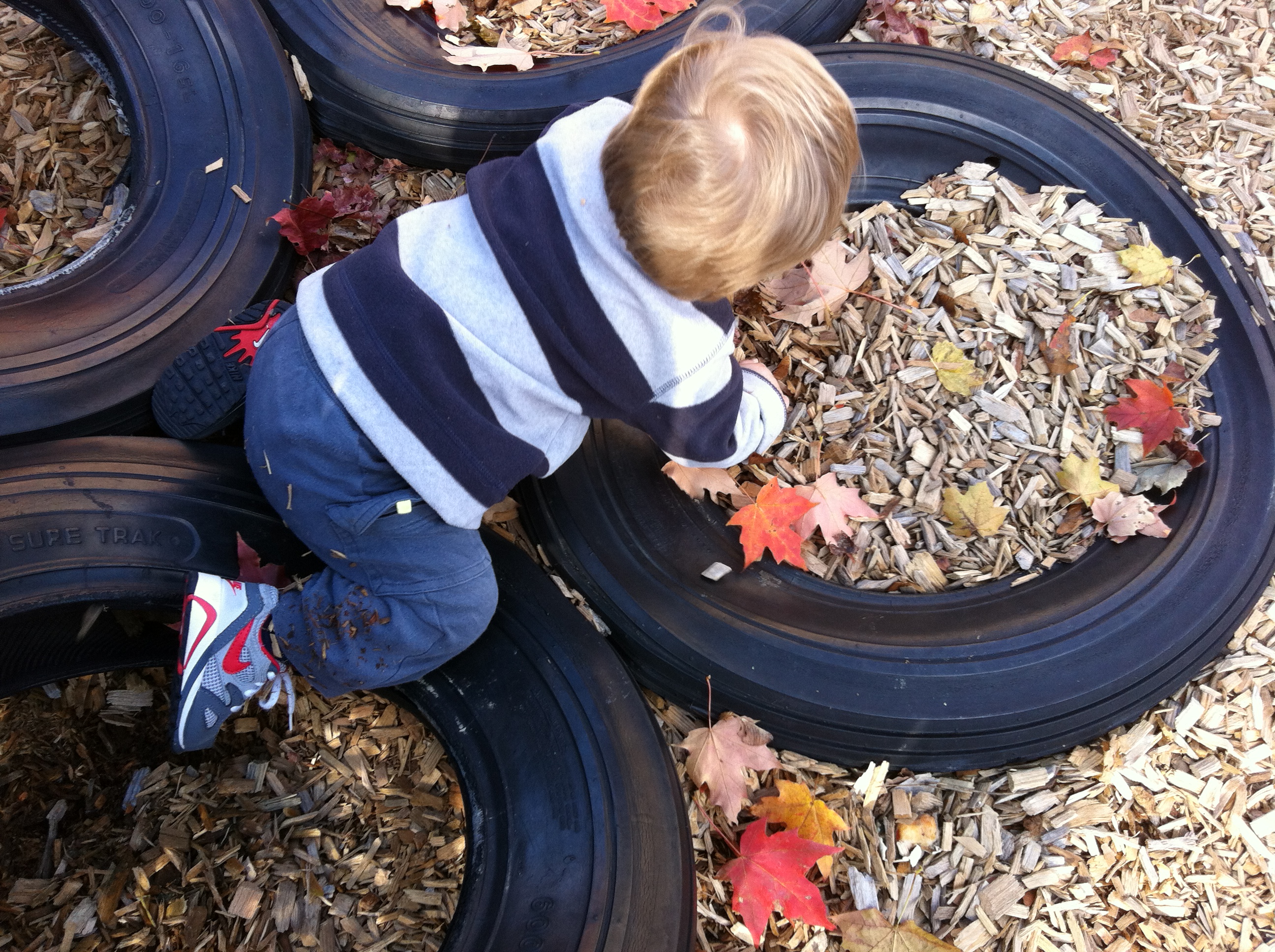 2012-10-21 13.15.10.jpg