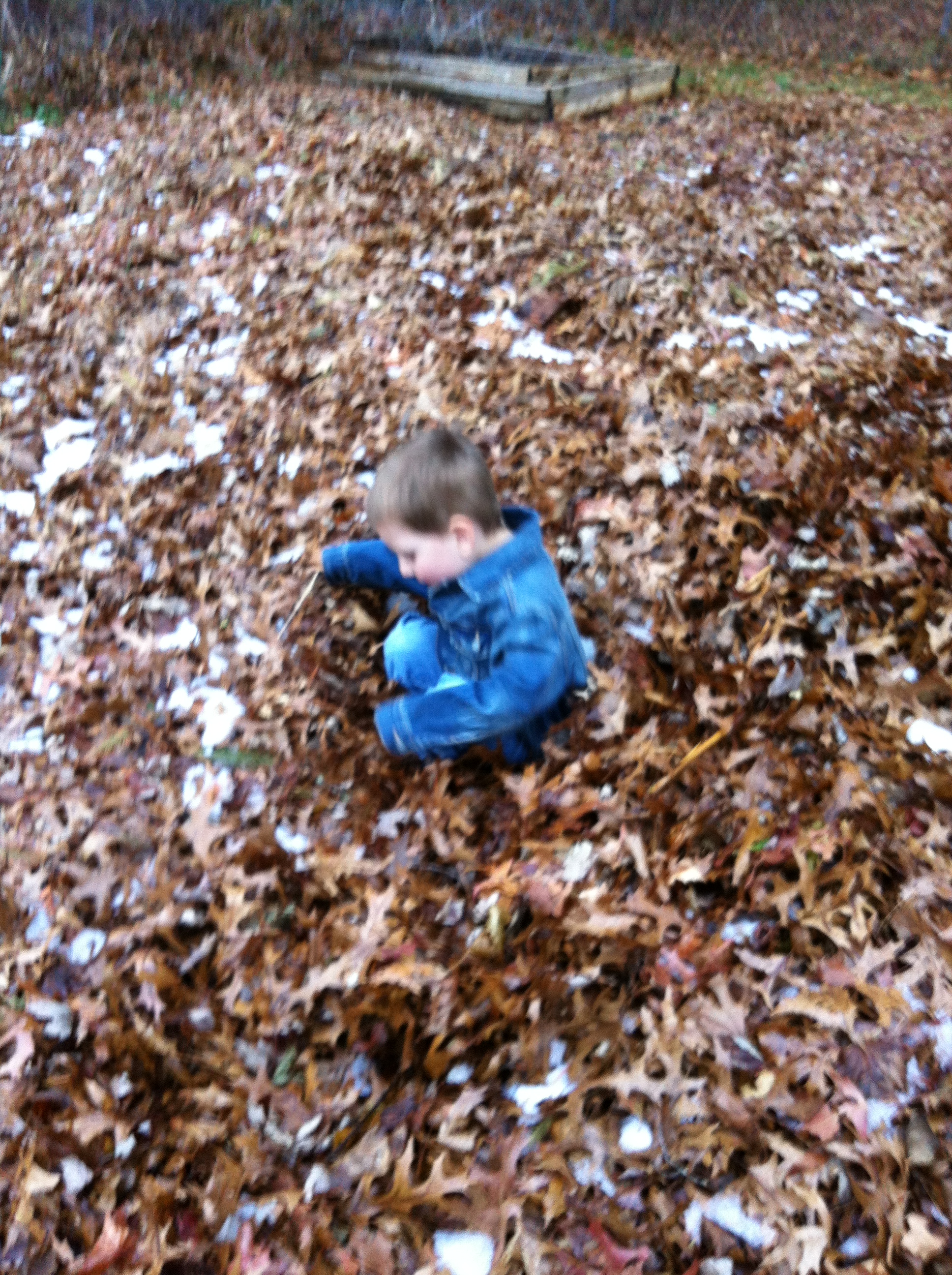 2014-11-27 15.42.19.jpg