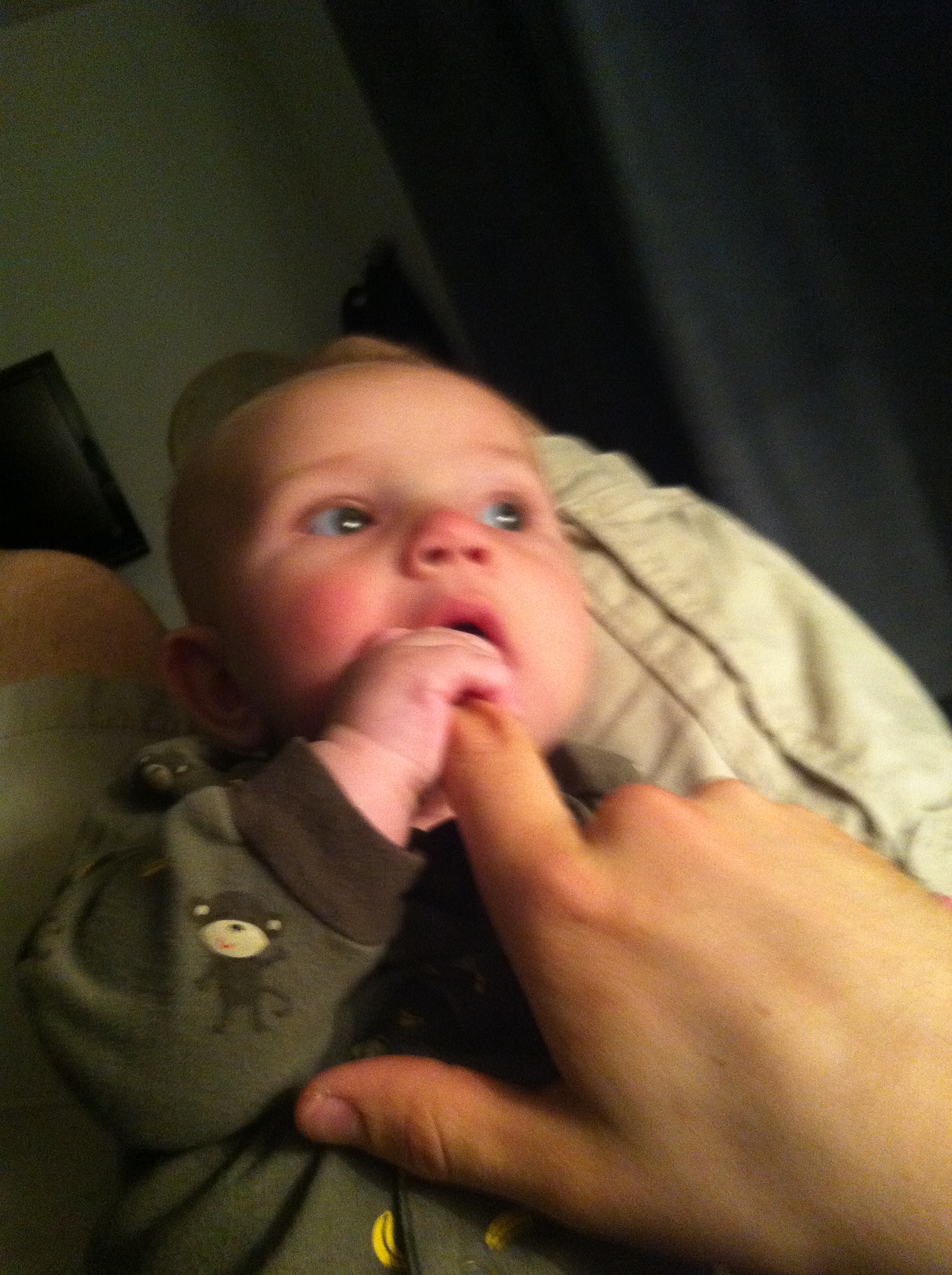 2014-05-20 20.10.52.jpg