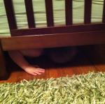 2014-04-30 19.24.32.jpg