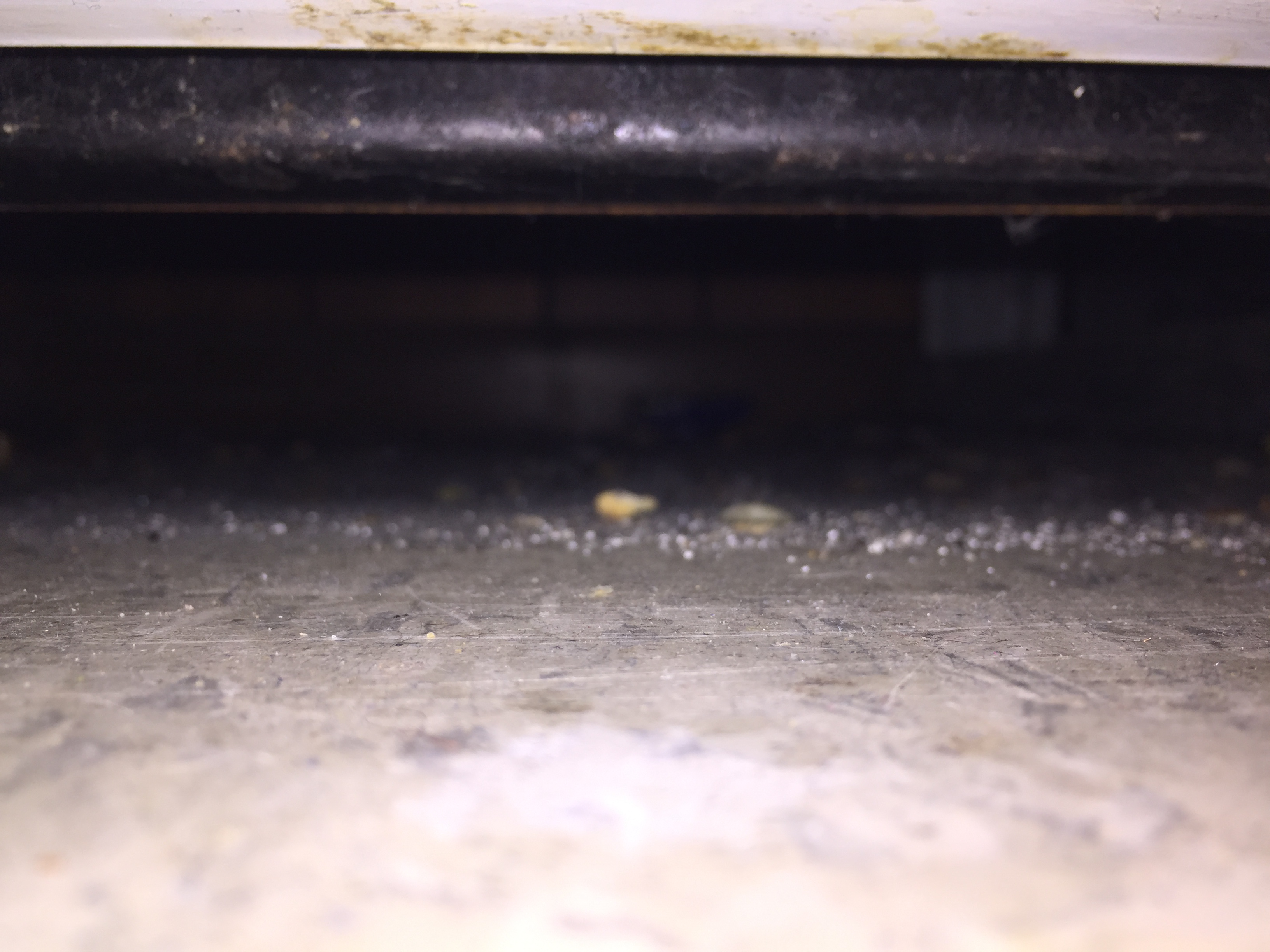 2015-03-11 23.06.07.jpg