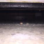 2015-03-11 23.06.07.jpg