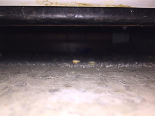 2015-03-11 23.06.07.jpg