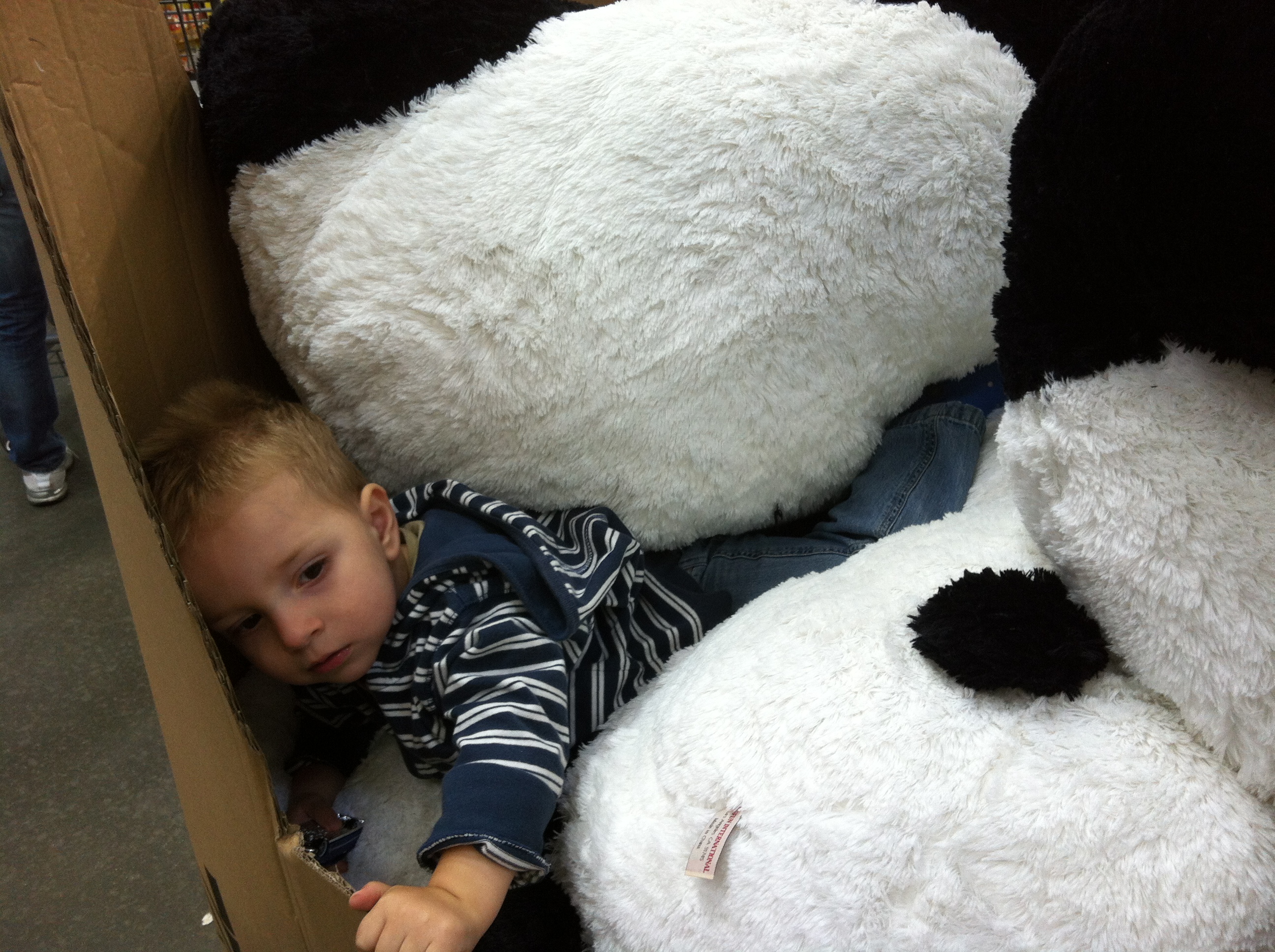 2013-09-28 10.08.32.jpg