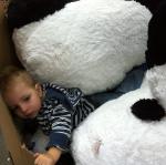 2013-09-28 10.08.32.jpg