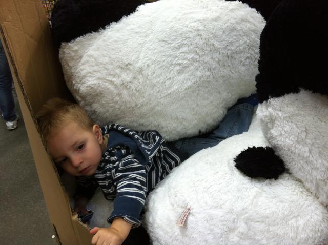 2013-09-28 10.08.32.jpg