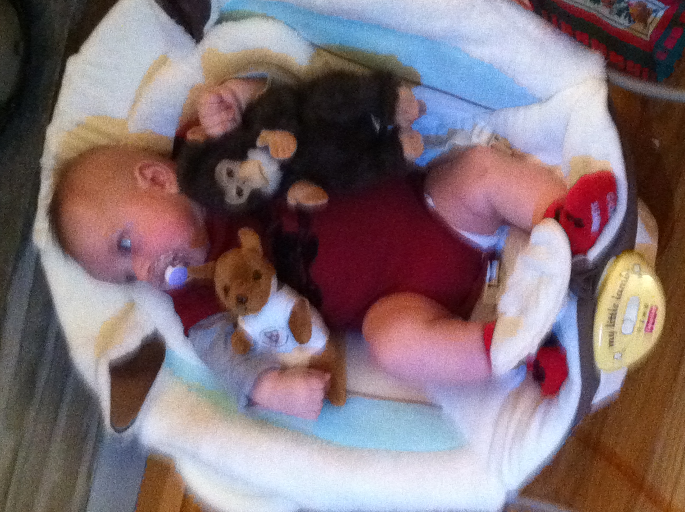 2011-12-24 16.54.02.jpg