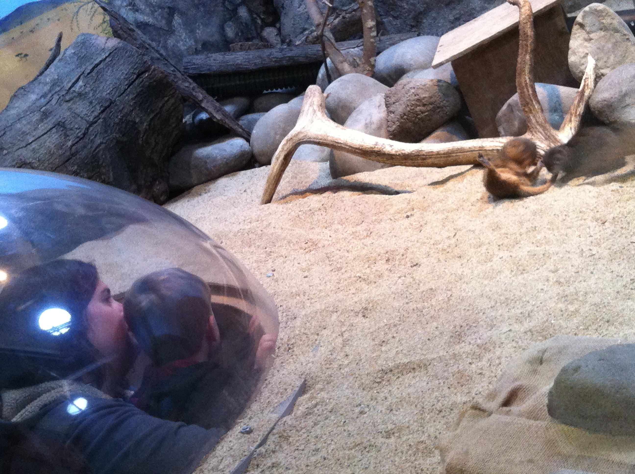 2013-05-20 10.18.40.jpg