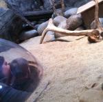 2013-05-20 10.18.40.jpg