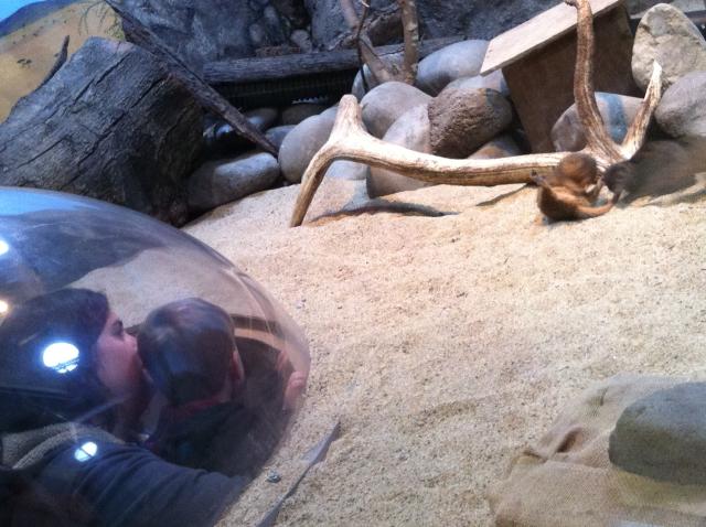 2013-05-20 10.18.40.jpg