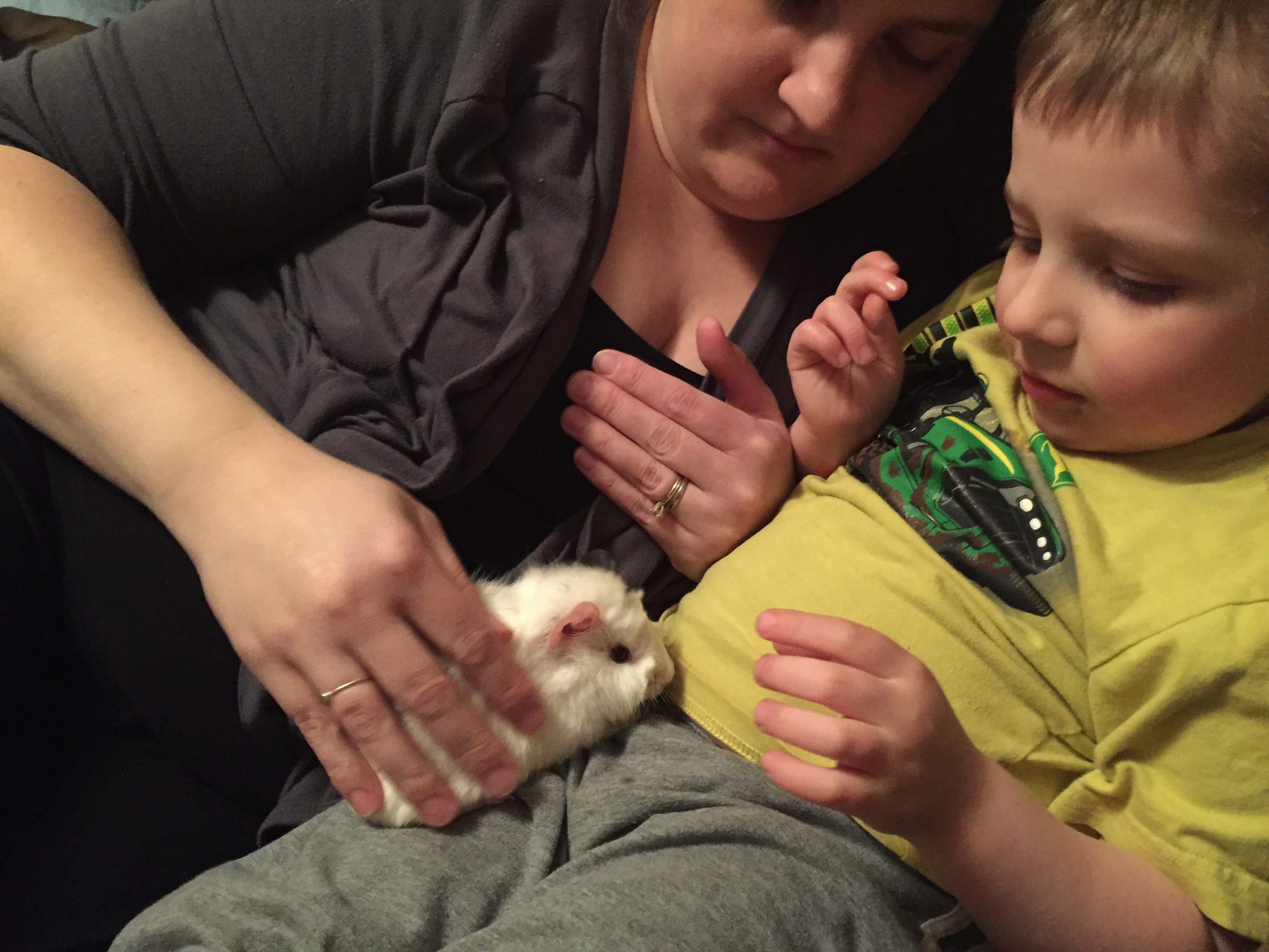 2015-03-08 19.32.34.jpg