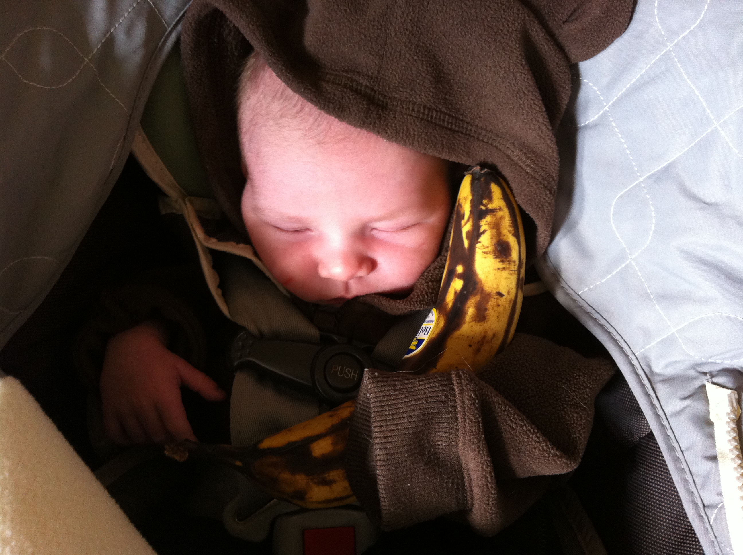 2014-02-01 13.49.11.jpg