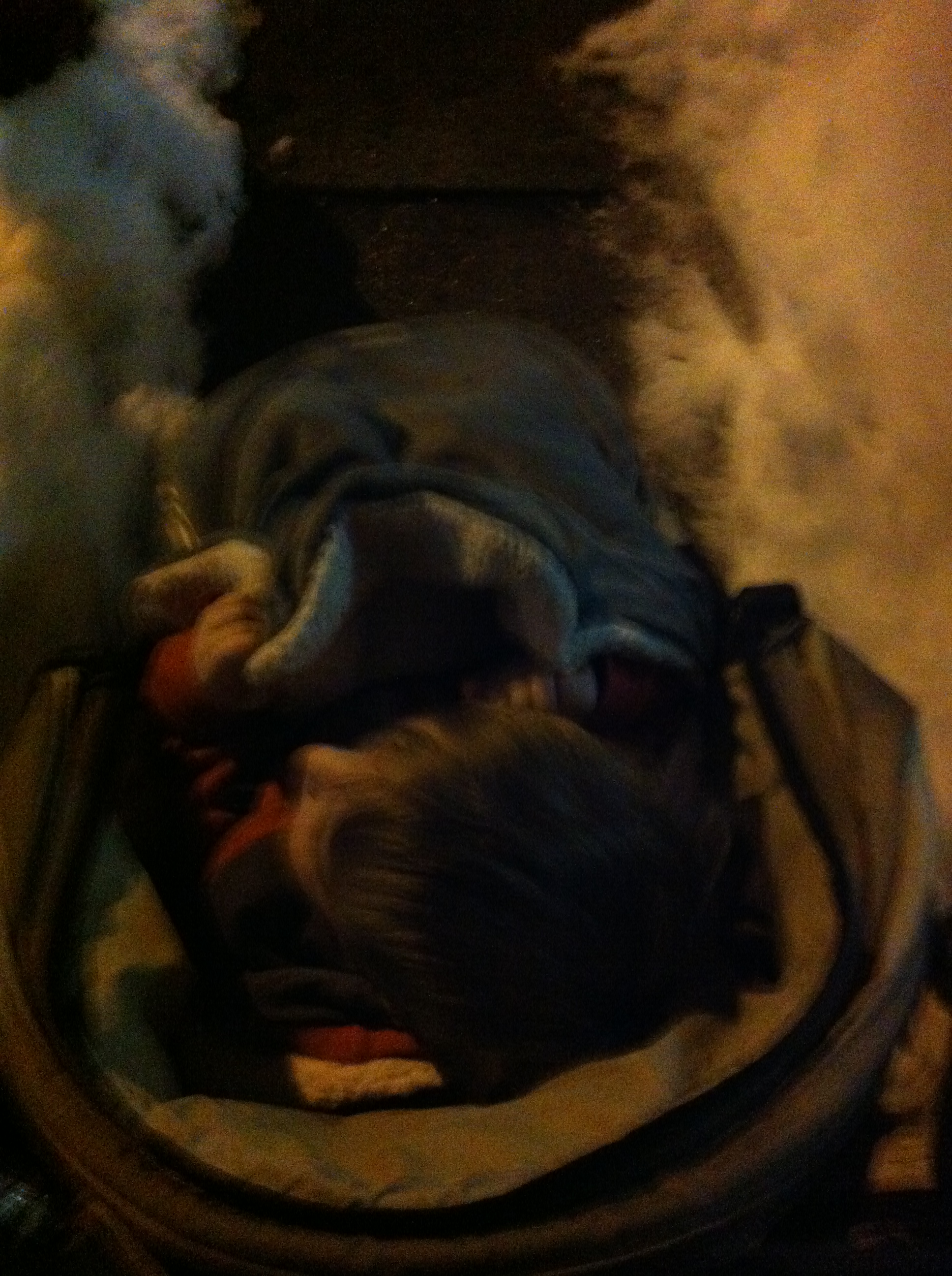 2014-02-20 19.11.39.jpg