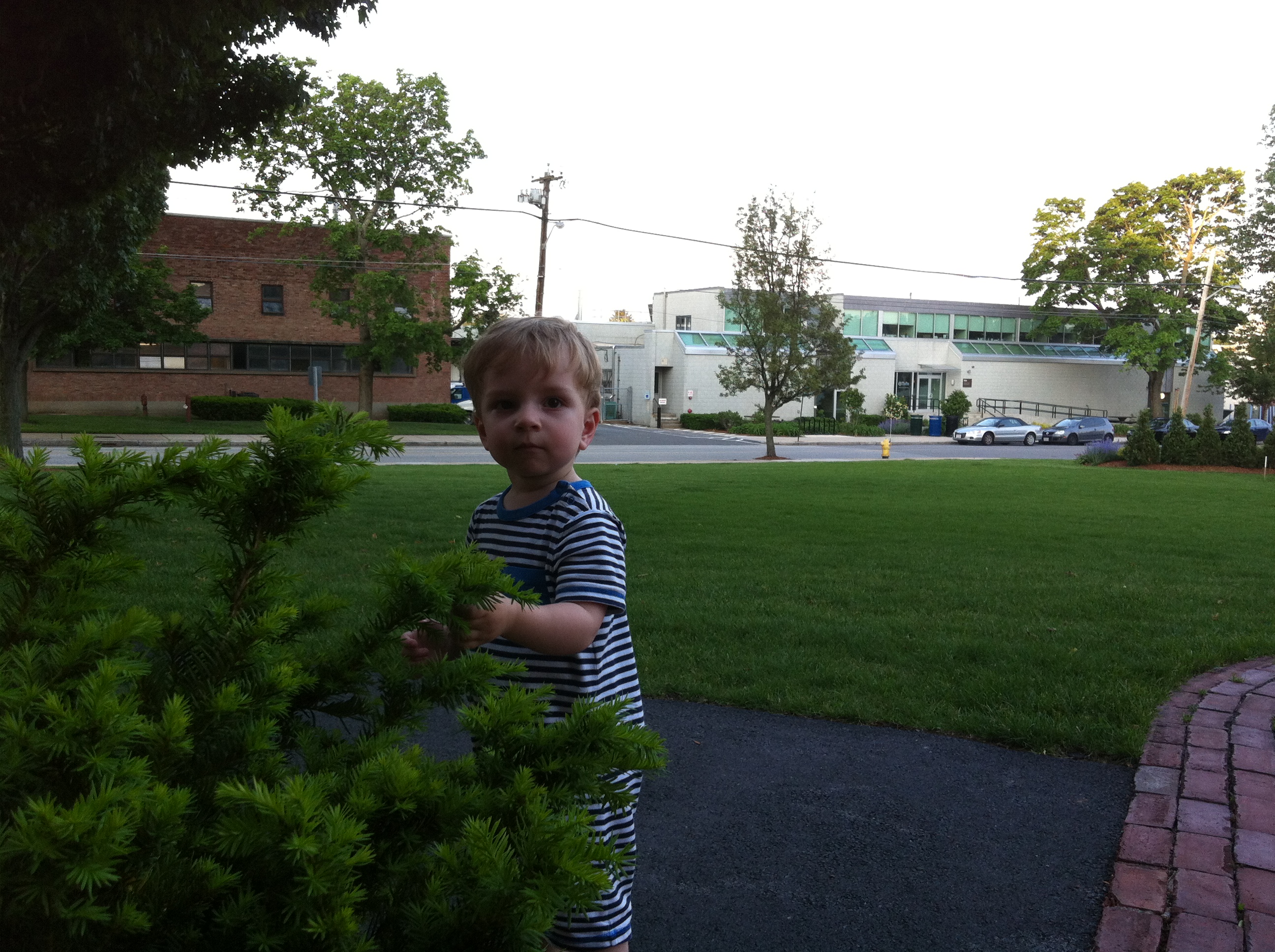 2013-05-31 19.25.07.jpg