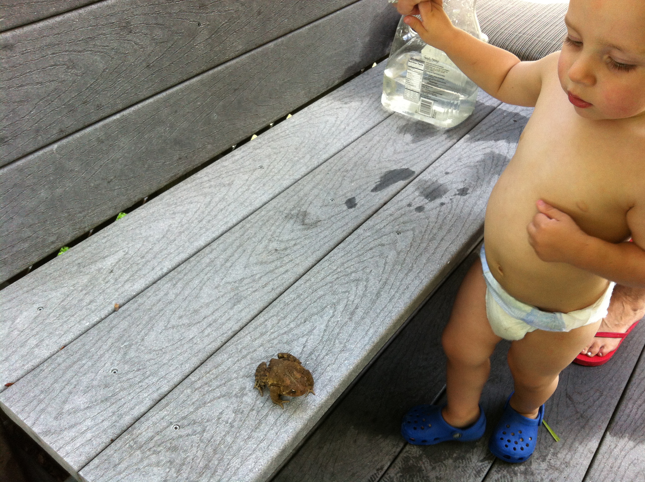 2013-07-27 13.21.49.jpg