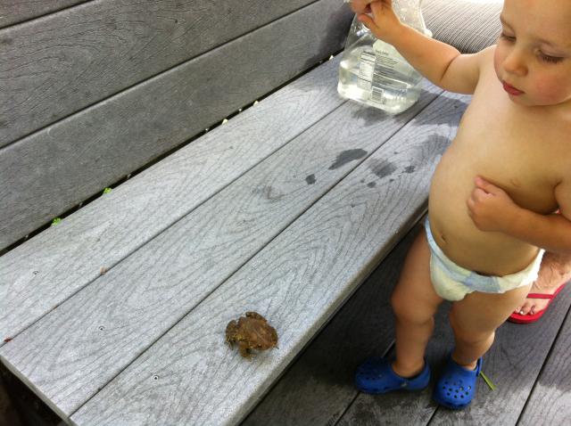 2013-07-27 13.21.49.jpg