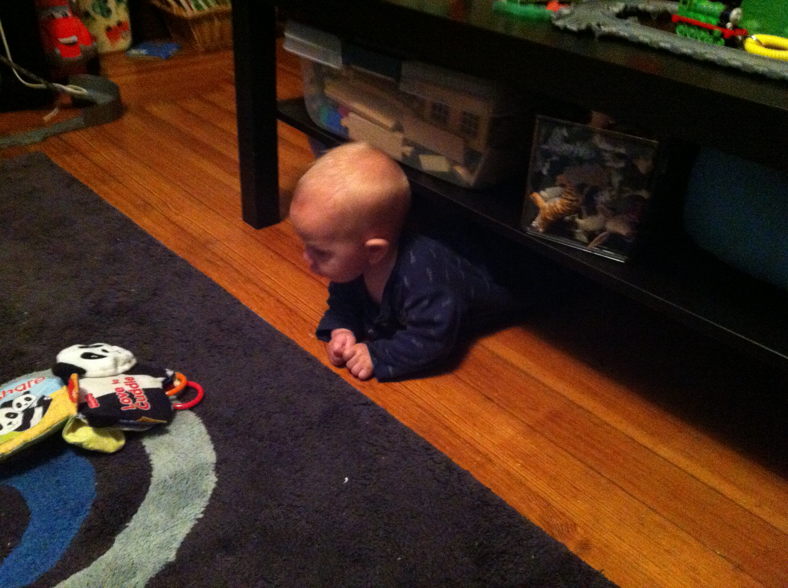 2014-07-16 07.02.22.jpg